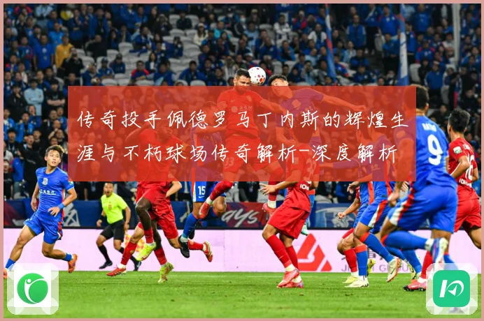 传奇投手佩德罗马丁内斯的辉煌生涯与不朽球场传奇解析-深度解析