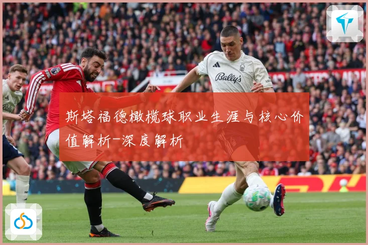 斯塔福德橄榄球职业生涯与核心价值解析-深度解析