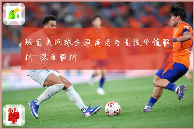 坂直美网球生涯高光与竞技价值解析-深度解析